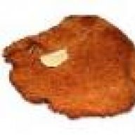 Schnitzel
