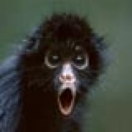ColorMonkey