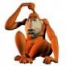sgravel