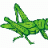 Grasshopper