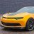 bumblebee
